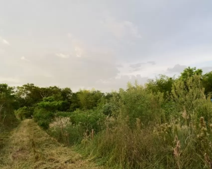 Działka 6 Hektarów w pobliżu La Colmena