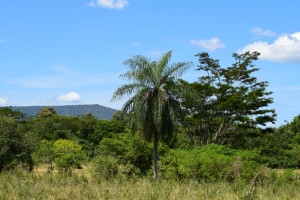 dsc_0174.JPG