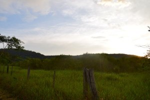 dsc_0379a.JPG