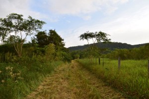 dsc_0380a.JPG
