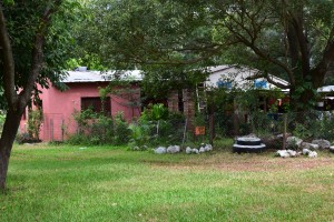 dsc_0992.JPG