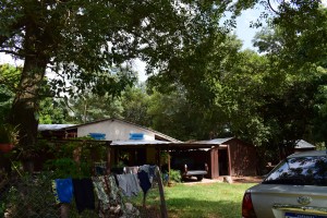 dsc_1013.JPG