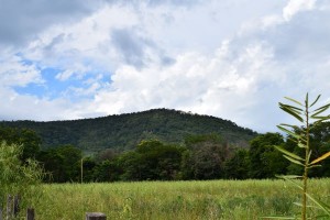 dsc_1042_a.JPG