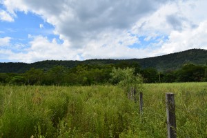 dsc_1043.JPG