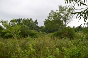 dsc_1116_a.JPG