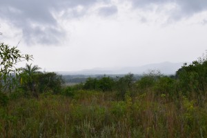 dsc_1119.jpg