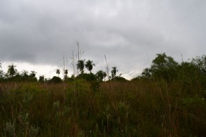 dsc_1122_a.JPG